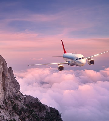 flight199